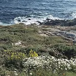 Apartamento Corme Camino Dos Faros, Playa Galicia
