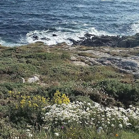 Apartament Ruta Dos Faros - Puerto Galicia Playa