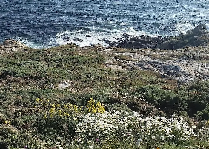 公寓 Ruta Dos Faros - Puerto Galicia Playa